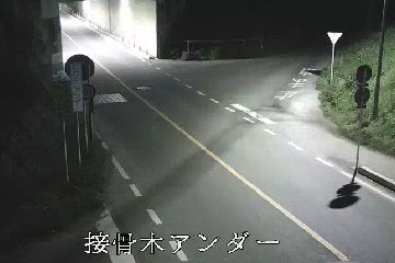 ［栃木県 接骨木アンダー］道路ライブカメラ
